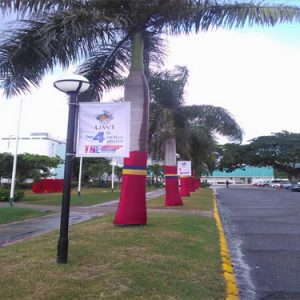 Pole Banner